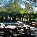 Picnic area at Matanzas Creek