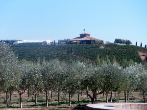 View of Viansa atop the hill