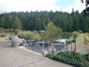 Outdoor tasting area in front of the pond at Airlie