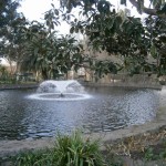 Fountain and pond at Cline Cellars