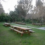 Picnic area at Cline Cellars