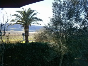 A view behind Anaba Winery from the deck