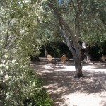 Picnic area at Clos du Val