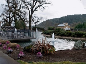 The pond and seating area out front of Kunde Estate