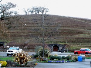 The wine cave built into the hills at Kunde Estate Winery