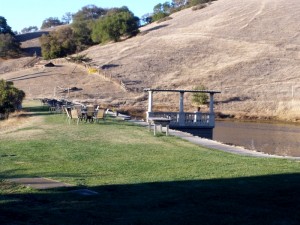 Lakeside seating area at Nicholson Ranch