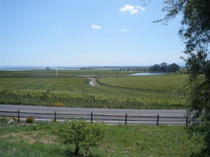 A view of Carneros from Acacia