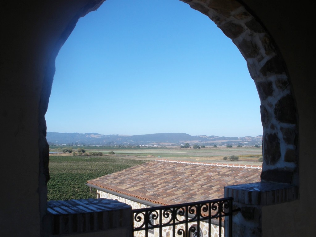 A view of Carneros from Jacuzzi Family Winery