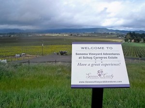 360 degree view of Carneros from Schug Winery