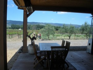 The outdoor seating area at Robert Biale Vineyards