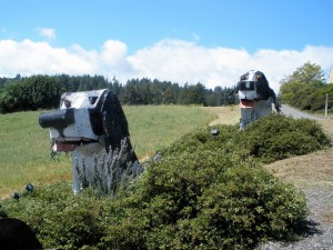 Dog sculptures at Marimar Estate