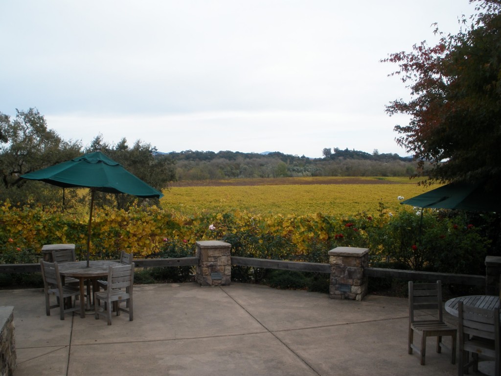 The patio at Rochioli Vineyards