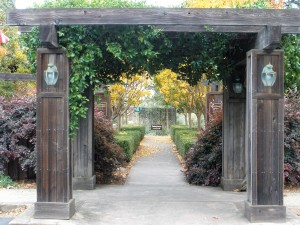 Walkway to Rochioli's Tasting Room