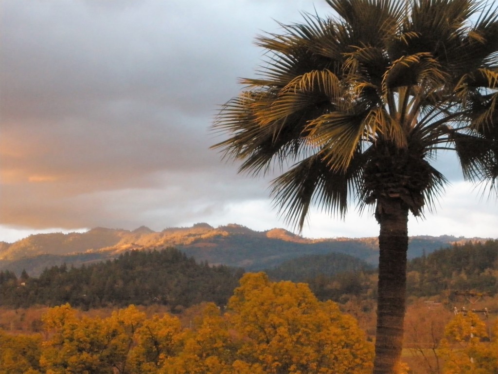 A view of Napa from the Culinary Institute at Greystone