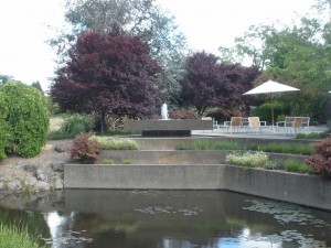 Pond outside of J Vineyards