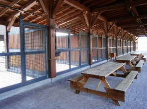 Horse stalls and picnic tables at Tamber Bey Vineayrds