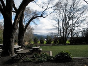 Picnic area at Frank Family Vineyards