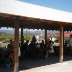 Picnic area at Larson Family Vineyards