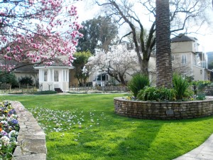 Sutter Home gardens