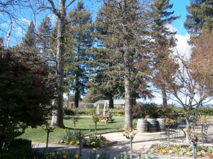 Dry Creek Vineyard Picnic Area