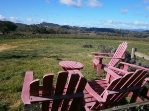 A view of Alexander Valley from Hanna Winery's picnic area