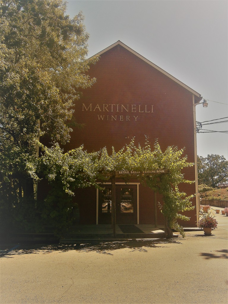 Martinelli Winery