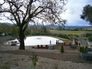 Armida's pond and picnic area overlooking Russian River Valley