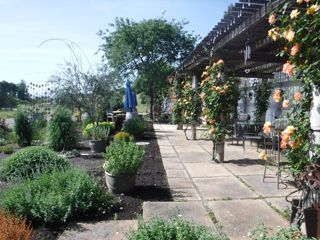 Hagafen Cellars Patio