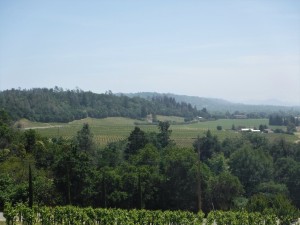 A view of Dry Creek Valley from Sbragia's terrace