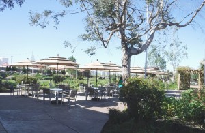 Patio at Michael David Winery